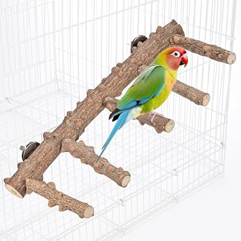 Mogoko Bird Ladder Perch for Cage, Natural Wood Bird Parrot Perch Stand Parrot Perch Bridge Climbing Chewing Toys for Small Medium Animal Cover