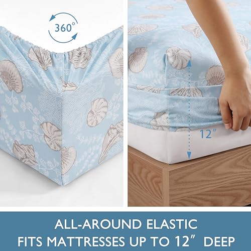 Image of Caribbean Joe Full Coastal Print Microfiber Sheet Set, Lacey Shells