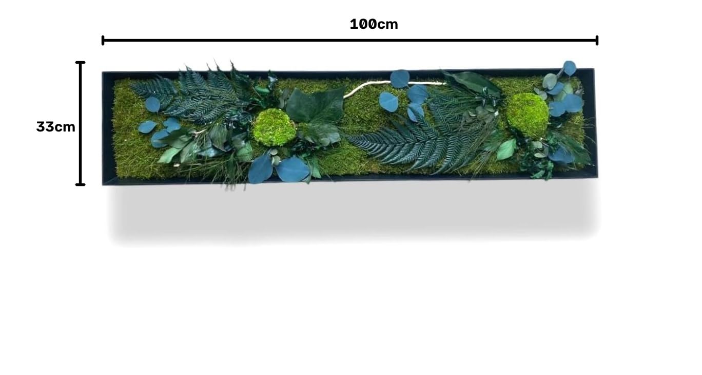 Quadro vegetale stabilizzato "pattaya" XL 100 x 33 cm – Decorazione da parete naturale | Piante stabilizzate senza manutenzione | Made in France