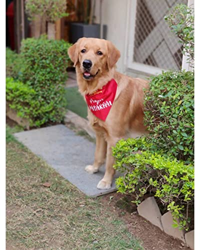 Image of Quirky Dog Bandana: Proper Patakha Bandana for Pets | Easy to Wear Slip On Dog Bandana
