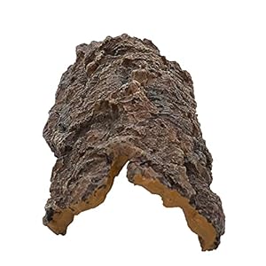 Hobby Corteccia Cave