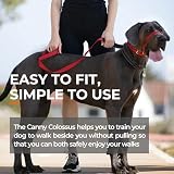 Canny Colossus Hundehalfter | Anti-Zug-Halsband für Hunde großer Rassen | Verhindert, DASS Ihr Hund an der Leine zieht | Kopfgeschirr Mit Gepolstertem Halsband | Schwarz