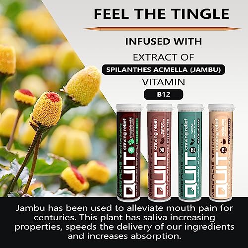 Image of Xero Picks Infused Flavored Toothpicks to Help Quit Smoking - Nicotine Free (Coffee Variety Pack, 4 Pack) Non-GMO Kosher Vegan