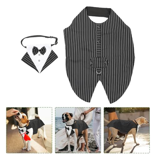Traje de Perro y Bufanda Decorativa XXL miniatura 5