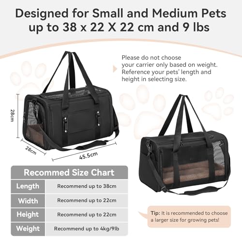 Petsfit Transportbox für Katzen – Faltbare Transporttasche für Haustiere bis 5 kg mit Netzfenstern & Innenkissen – ideal fürs Auto, Reisen & Tierarztbesuche – auch für kleine Hunde geeignet