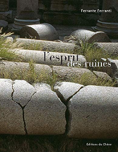Télécharger L'esprit des ruines Francais PDF