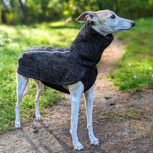 EDEL&SCHNELL Hundemantel wasserdicht, Woll-Wintermantel für Ridgebacks, Dalmatiner, Weimaraner und andere schlanke Rassen, Hunde Wintermantel Größe 70-75