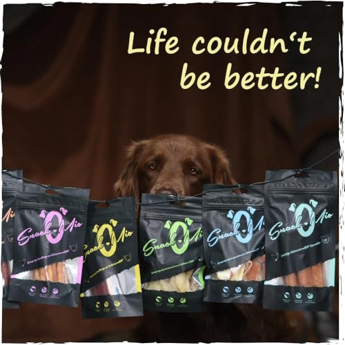 SnackOMio – Premium Hundesnack – knackige Kaustange an Pferdefilet, getreidefrei, 1er Pack (1 x 70g)