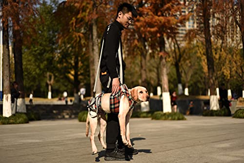 Rozkitch Shoulder Belt Strap For Dog Lift Harness, Grid Pet Chest Rear Support Aid Veterinarian Approved Sling For Old K9 Help With Poor Stability 1*79 Inch #TOP2