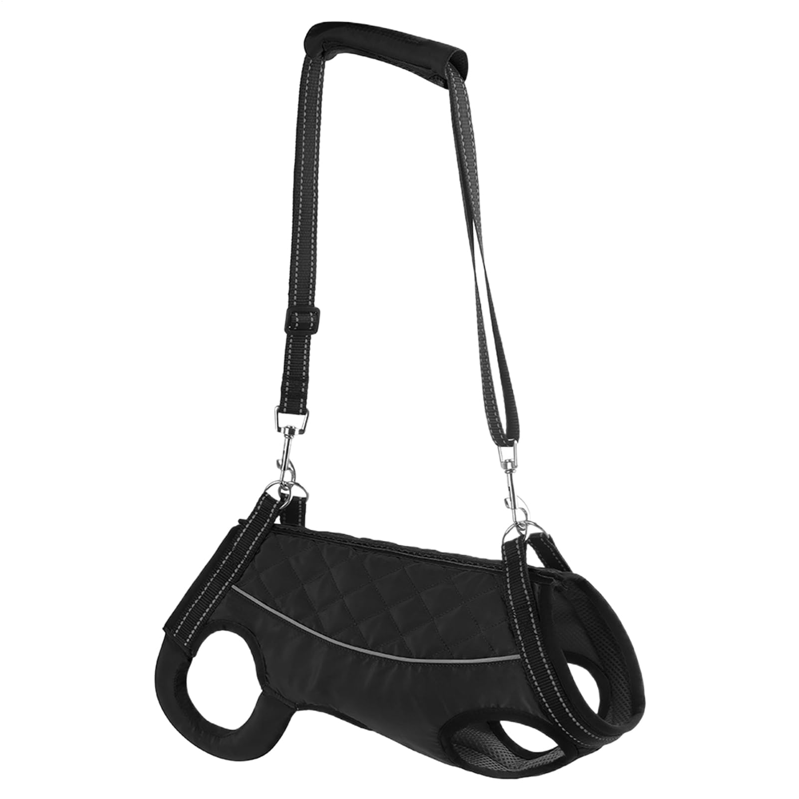 Chien portant un harnais de levage et ceinture de soutien pour rééducation des animaux