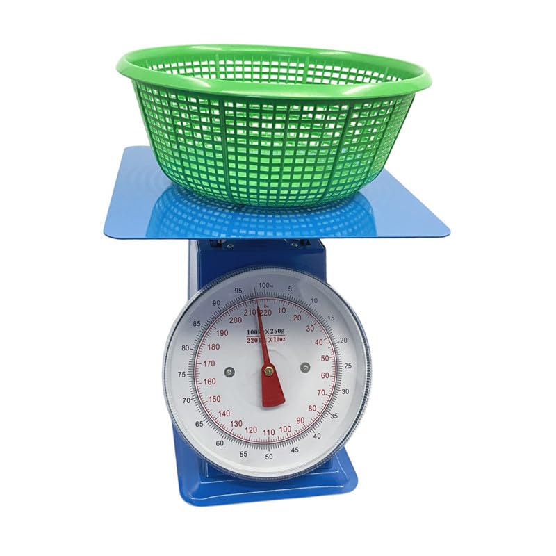 Professionelle mechanische Waage, 100 kg
