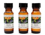 Exotic Scents AR 3 Bottles 1/2 Fl Oz Each (15ml) Premium Grade Scented Fragrance Oil (Blend of...