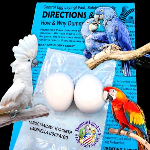 Plastic Large Parrot Eggs for Macaw & Cockatoo. 2 Dummy Solid Non-Toxic Fake Decoy Faux Mock Eggs 1-7/8