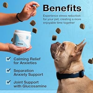   Hemp-Dog-Calming-Chews-Anxiety-Relief-Treats-60-Calming-Treats-for-Dogs-Organic-Calm-Pup-Dog-Anxiety-Relief-Calming-Care-for-Dogs-Bacon-Flavor