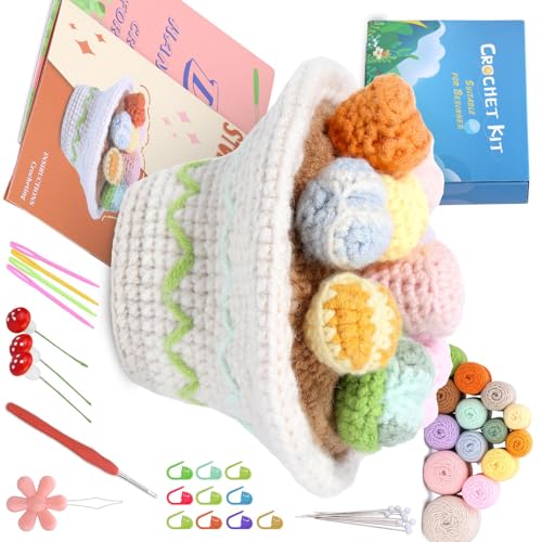 Plantes succulentes au crochet kit DIY pour décoration de bureau