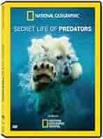 (未使用･未開封品)Secret Life of Predators [DVD] Secret Life Of Predators National Geographic DVD 2013 New