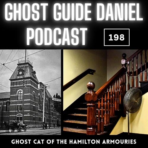 Ghost Cat of the Hamilton Armouries