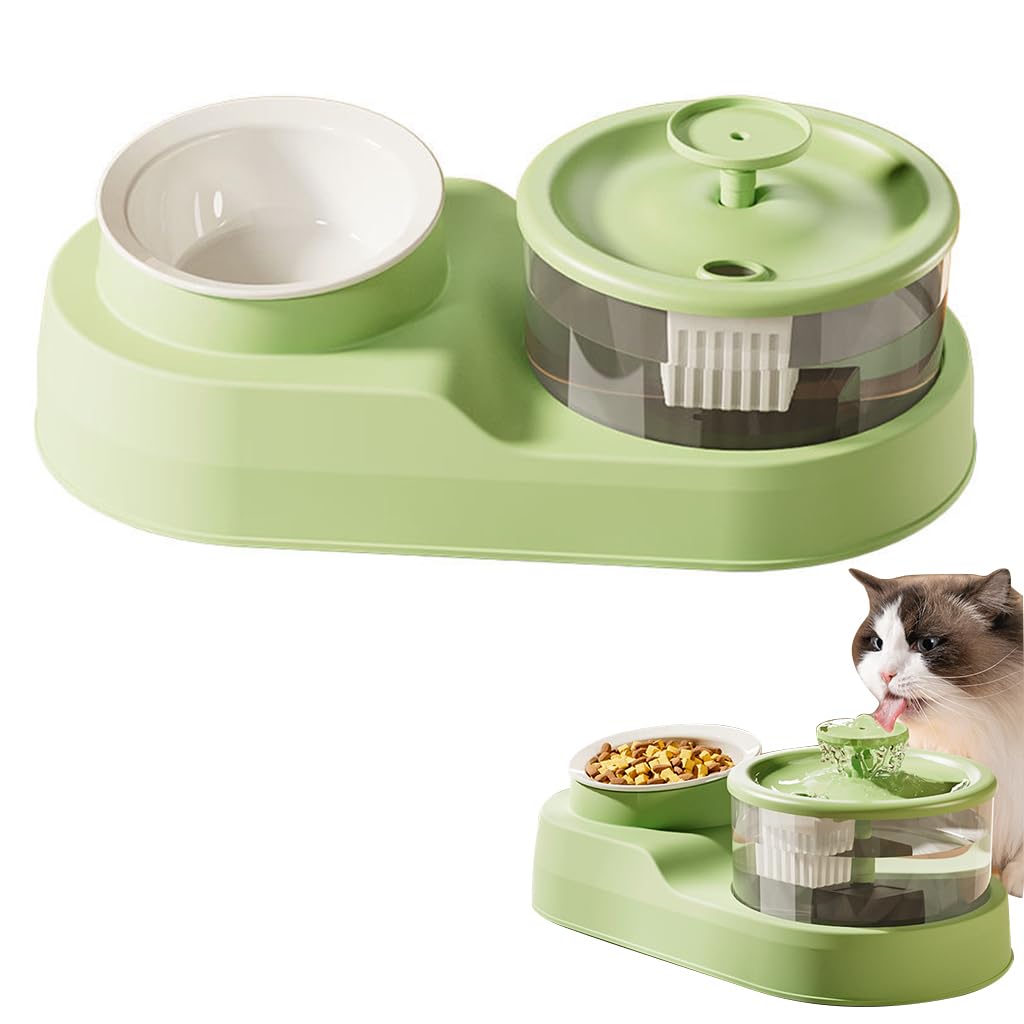 Qpets Cat Food Bowls, 2 In 1 Cat Food Feeder And Water Dispenser, Cat Feeding Bowl For Small And Medium Pets Cats Puppies, Polypropylene, 35.5 X 19.5 X 5.1 Cm (B0D3QHJCX4) Amazon Price History, Amazon Price Tracker