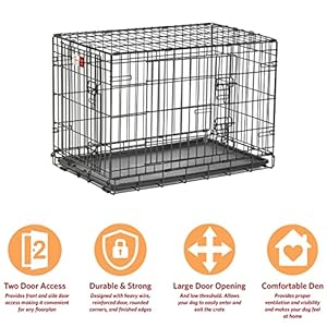 Medium Dog Crate | Midwest Life Stages 30 Double Door Folding Metal Dog Breed Crate | Divider Panel Floor Protecting Feet Dog Pan | 306l X 193w X 214h Inches Cucciolini Doodles Medium dog crate | midwest life stages 30 double door folding metal dog breed crate | divider panel floor protecting feet dog pan | 30 6l x 19 3w x 21 4h inches cucciolini doodles