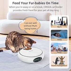 ORSDA Automatic Cat Feeder Wet Food/Dry Food, 5 Meal Timed Pet Feeder with Timer Programmable & Voice Recorder, Dual Power Supply Auto Feeder for Cats/Small Dogs