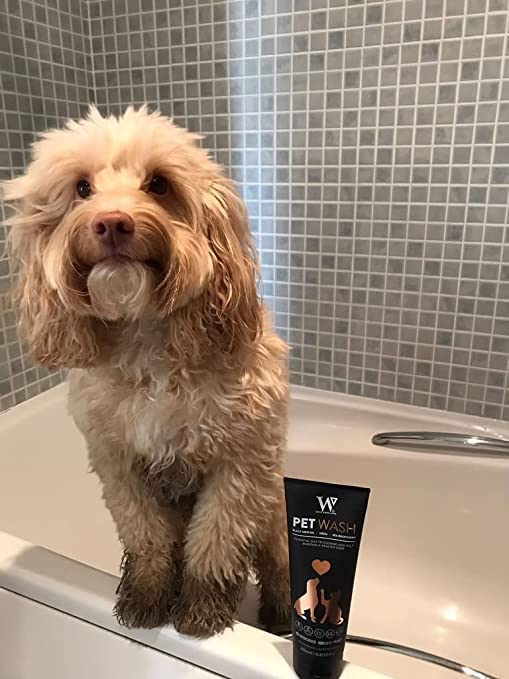 Watermans Luxus-Shampoo für Haustiere, 250 ml, für Hunde, Katzen, Pferde, Anti-Fell-Technologie, pH-ausgleichend, sofort einsatzbereit.