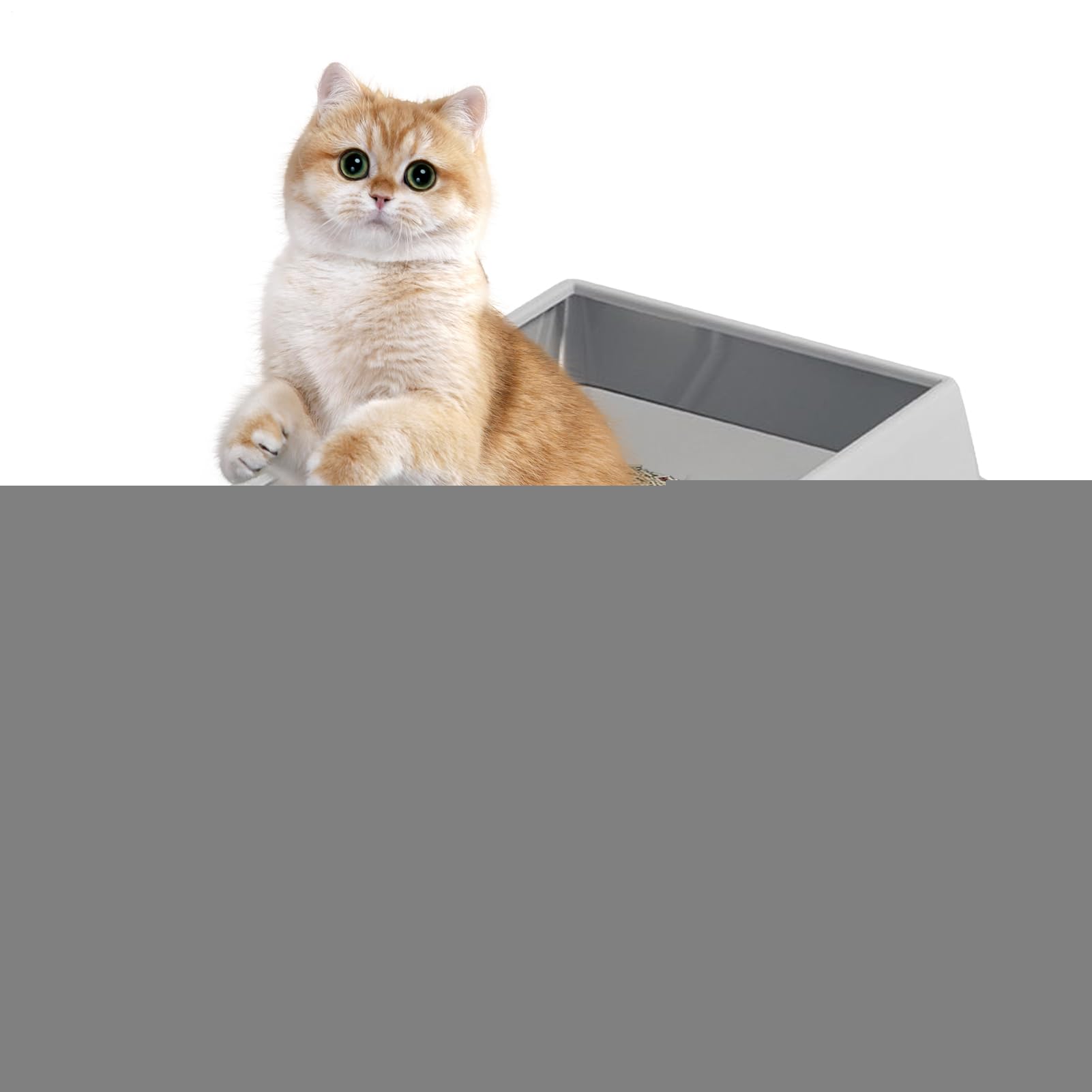 Lettiere Gatti Cassetta Gatti Antifuga Urina Antiaderente Piccola/a | per Lettiera per in Acciaio Inossidabile Antischizzo Animali Domestici Piccoli Grandi Appartamento