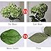 Luyue 5 Big Heads Artificial Silk Hydrangea Bouquet Fake Flowers Arrangement Home Wedding Decor (Green)
