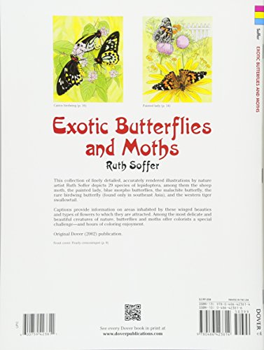 Exotic Butterflies and Moths