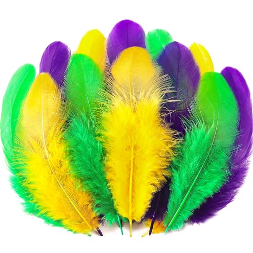 Soarer 300pcs Mardi Gras Feathers for Crafts - 3-5inch Feathers Bulk for Wedding Home Party Dream Catcher Supplies and DIY Crafts(Mardi Gras)