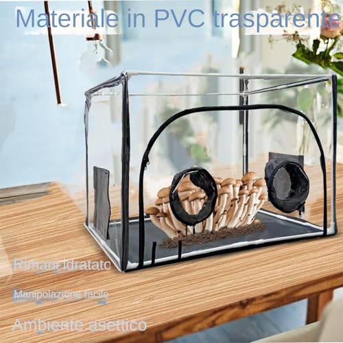 Chambre de fructification pour kit de champignons portable et ventilé Generico transparent - 5