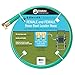 Swan Produtcs CSNLHFF5806CC Hose Reel Leader Hose with Female Connections 6' x 5/8", Green
