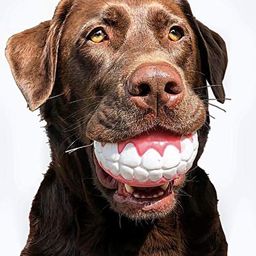 CHEECH! Share a Smile with The Incredible Fetch Ball for Medium to Large Dogs