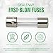 (6 Pack) 5 Amp Fuse / 125V 5A Max, Fast Blow, 0.2 x 0.78 Inch / 5 x 20 mm, Little Glass Fuses for Outdoor String Lights, Christmas Lights, Box Fans, and More TC-67