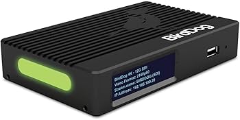【激安！希少】BirdDog 4K-QUAD NDI コンバータ 中古 51jZmdsKoVL._AC_UF350,
