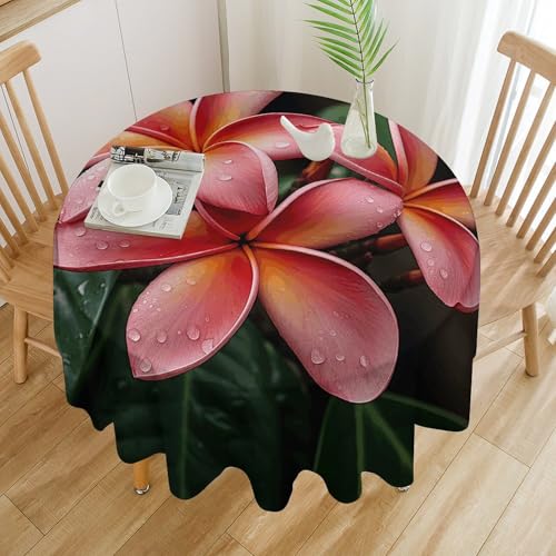 Nappe ronde imperméable et antitache à fleurs tropicales 152cm - 4
