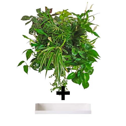 ortisgreen hub modulo giardino verticale fai da te in alluminio riciclato bianco, per dieci piante, componibile, include staffa, vasca per raccolta acqua, substrato naturale e istruzioni.