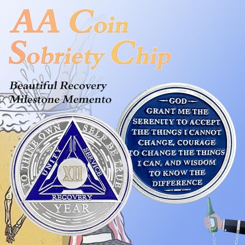 Image of Imasoner 12 Year Sobriety Coin Alcoholics Anonymous Medallion Sobriety Chip Anniversary Token Recovery Gift