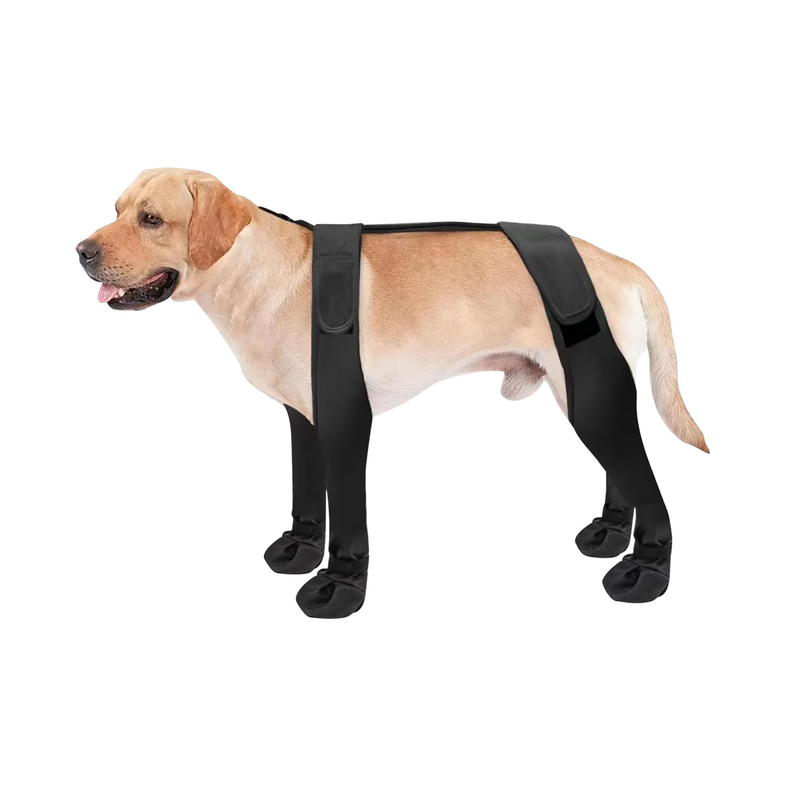 Leggings per cani, stivaletti con bretelle impermeabili, S