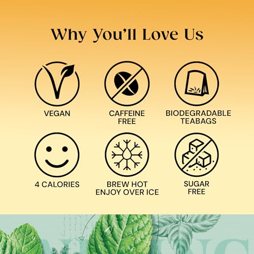 Twinings Pure Peppermint Flavoured Tea Bags - 320 Biodegradable Bags (Multipack of 4 x 80), Caffeine & Sugar Free Herbal Tea for Digestion & Refreshment, Natural Peppermint Flavor - 5