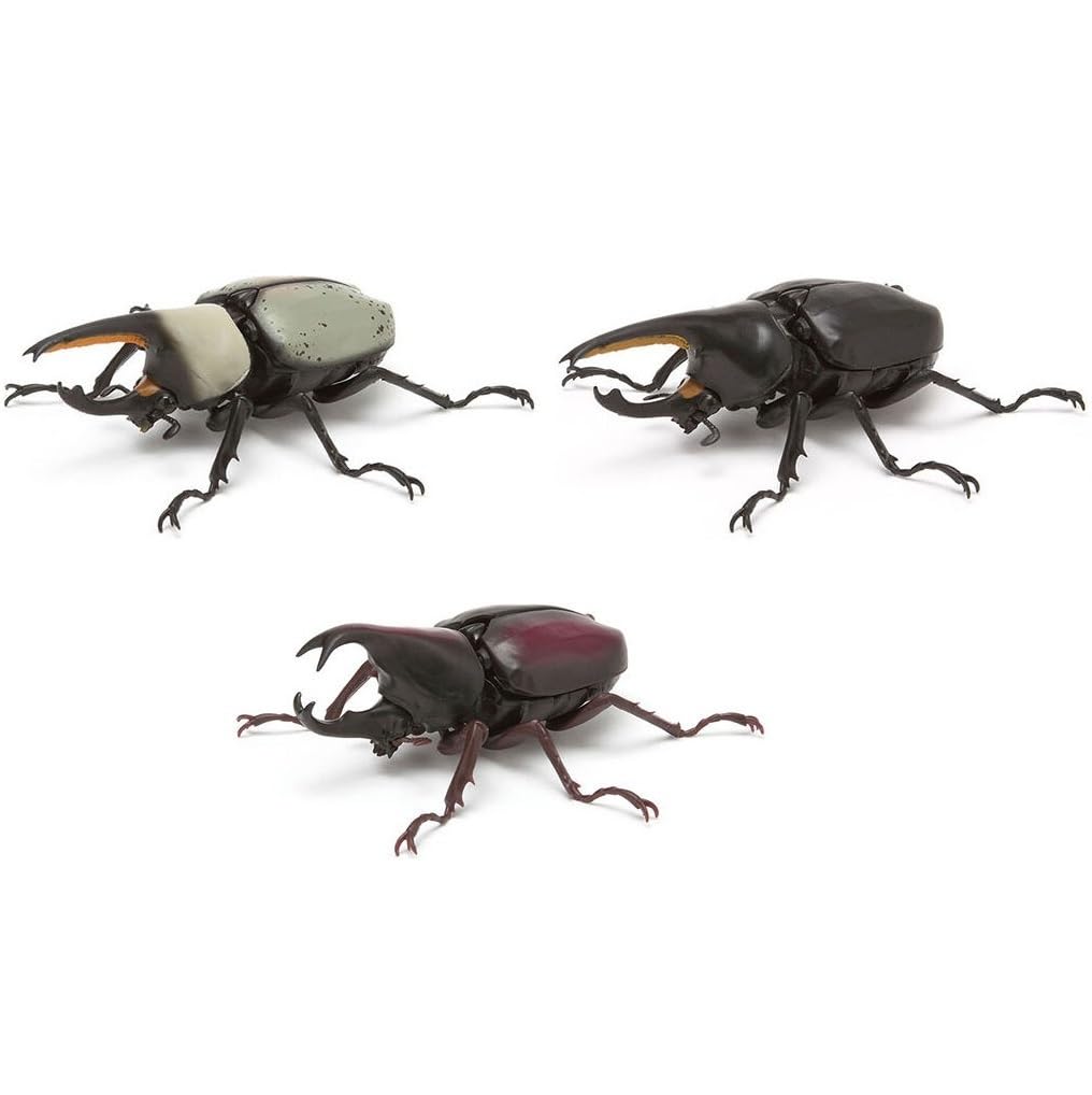 オーストラリアの ムカシタマムシ 3種セット オーストラリアの ムカシタマムシ 3種セット