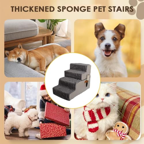 Rampa para perros: protege las articulaciones de tu mascota al subir al sofá de forma segura 5
