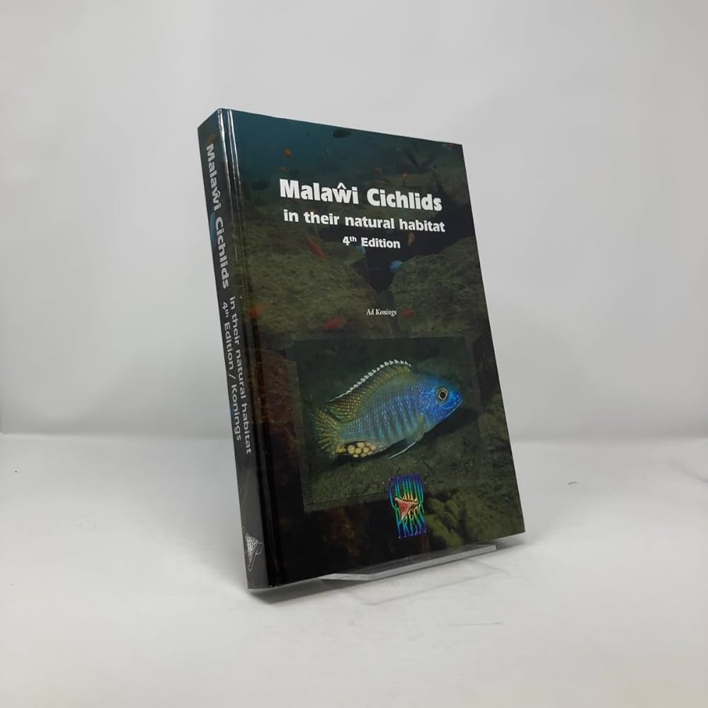 51ja3GWwmrL._AC_UF1000,