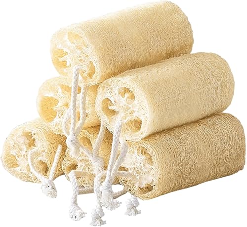 HUIEBOO【爆売れ中!】 10個 天然ヘチマ ヘチマスポンジ バス ボディシャワースポンジスクラバー ボディケア 洗浄 へちま 糸瓜 風呂スポンジ 新陳代謝を促進 角質除去 食器ブラシ 皿洗い シャワーブラシ 原色