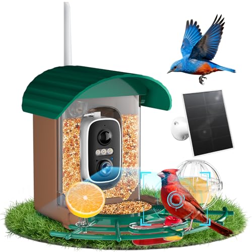 NIORSUN Smart Bird Feeder with Camera Solar Powered 2K HD Video AI Recognition Feeder with Instant Notifications Eagle Alarm Infrared Night Vision for Family and Bird Lovers Green