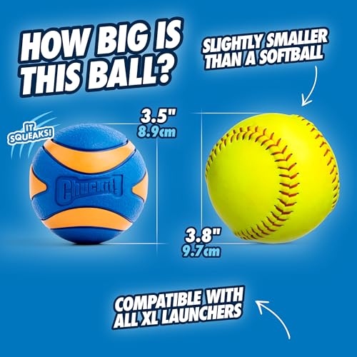 Chuckit! Ultra Squeaker Hundespielzeug, Gummi, hohe Sprungkraft, für Land und Wasserwerfer, Größe XL