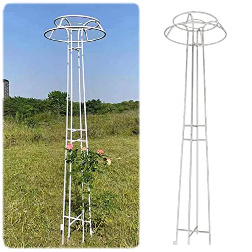 Grand Treillage Décoratif Extérieur, 205 Cm De Haut Treillis De Roses Antirouille, Cadre d'escalade Résistant Aux Intempéries, pour Décoration Florale De Plantes Grimpantes, Noir, Blanc