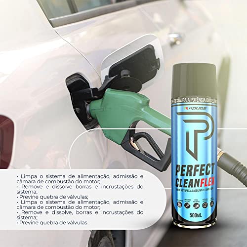 Kit 6 Perfect Clean Motores Flex/Gasolina/Álcool - Koube