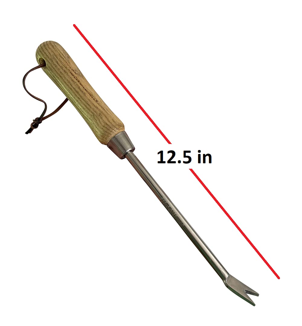 Garden Guru narzędzie do chwastów mniszka lekarskiego z ergonomicznym uchwytem z drewna FSC, do sadzenia, pielenia, pielęgnacji kwiatów i warzyw na trawniku, na podwórku, odporny na rdzę