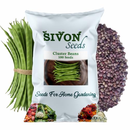 Image of SIVON Cluster Beans (Gawar) (100 Seeds) Vegetable Seeds for Home Garden, Organic & Hybrid, Perfect for Home Gardening, Planting For Pots and Patio