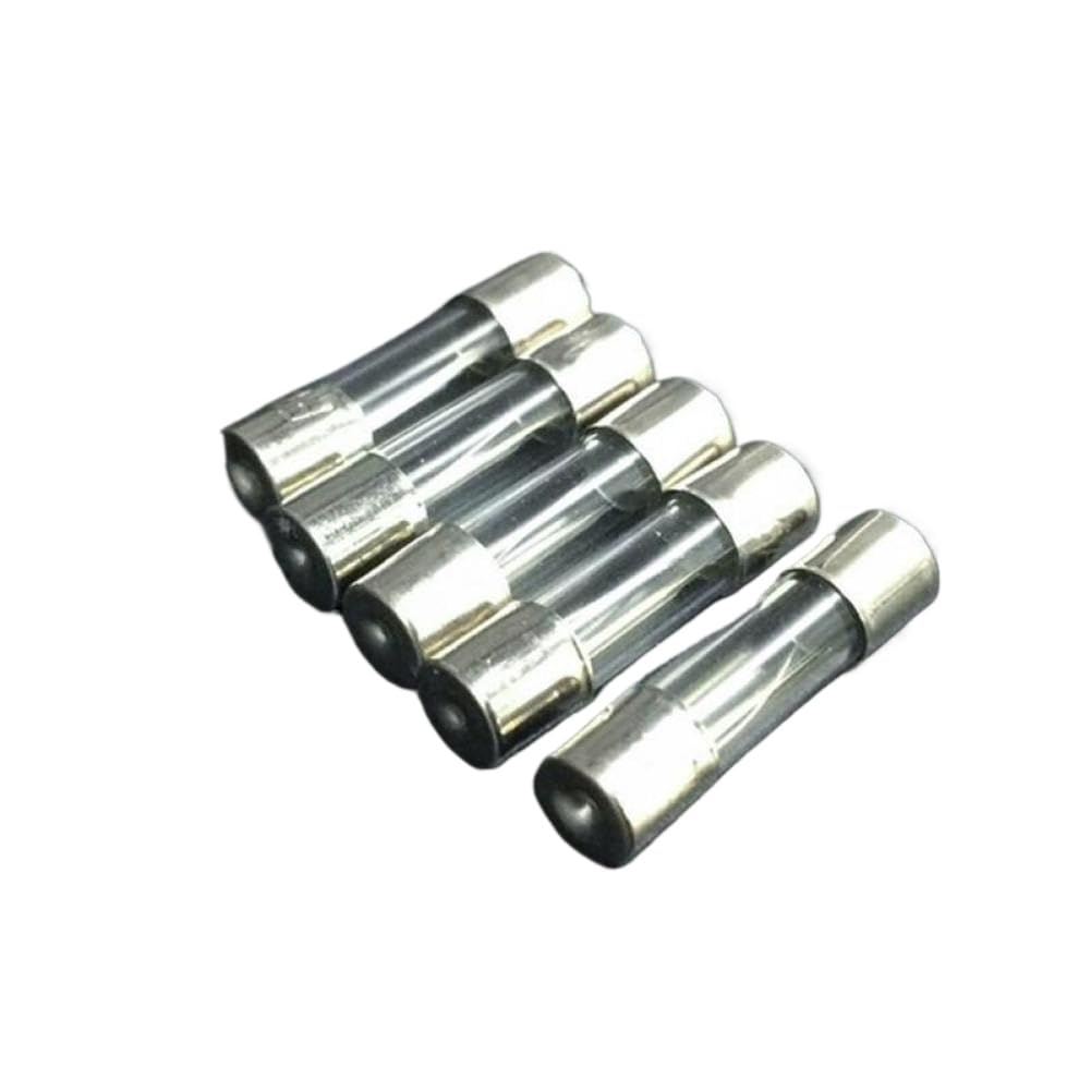 Feine Glasrohrsicherungen 5 x 20 mm, 100-teiliges Set, kompatibel mit Elektronik